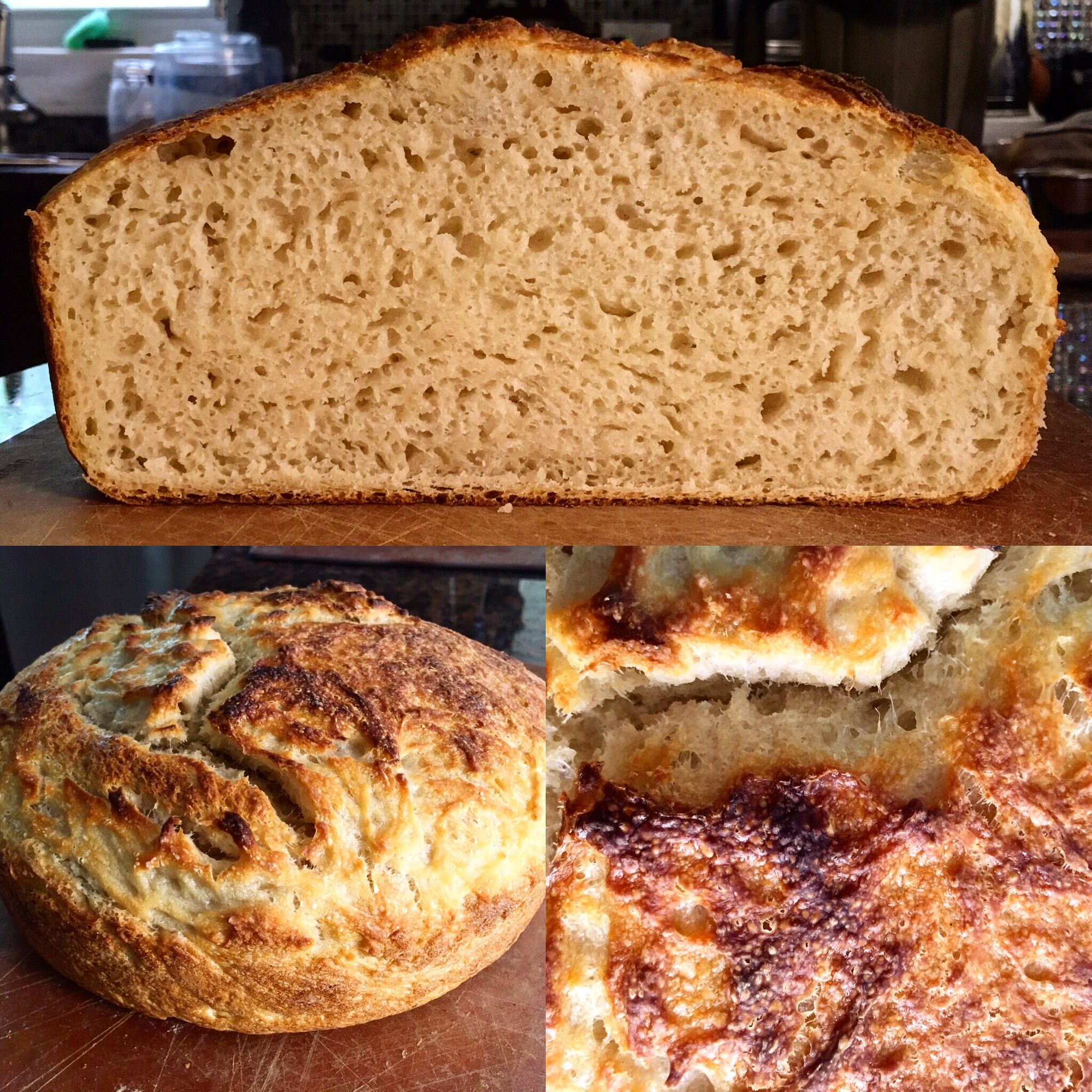 What is Sourdough?